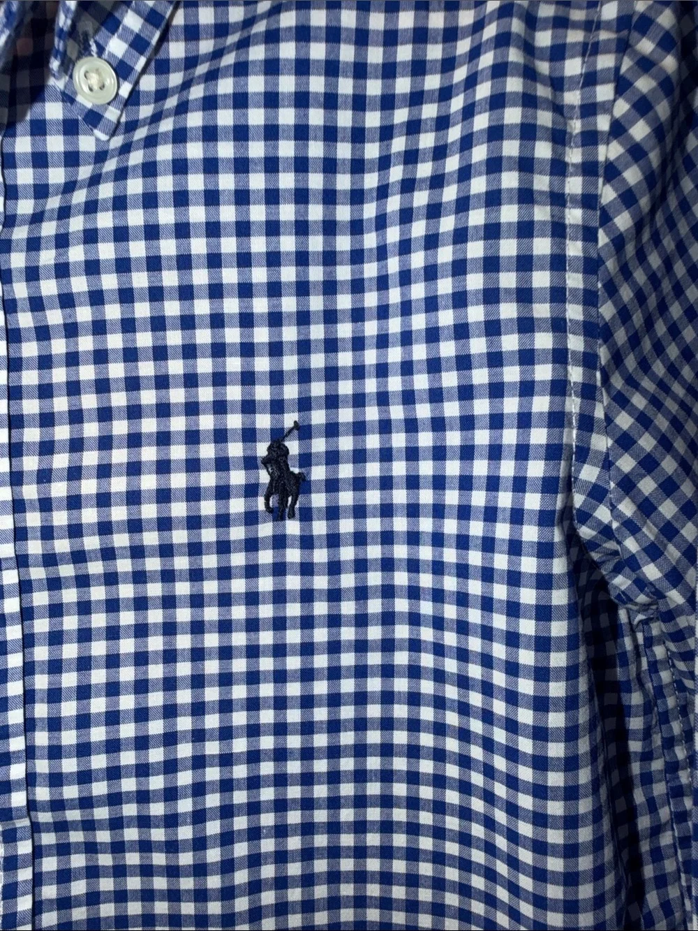 Boy's Ralph Lauren Blue and White Gingham Button-Down Shirt